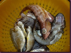 Frittura mista di pesci di scoglio (1)