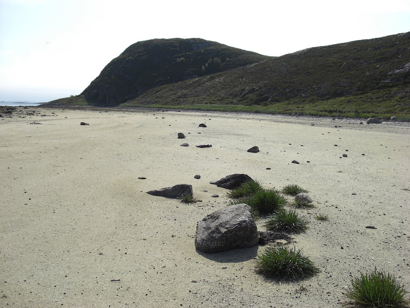 Fjæro øksningan.jpg