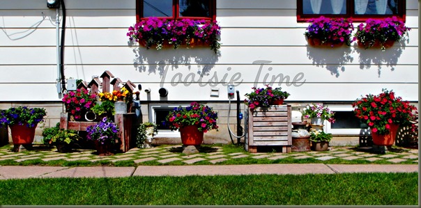 BeFunky_023.jpg BeFunky_023.jpg
