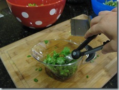 cilantro IMG_0922