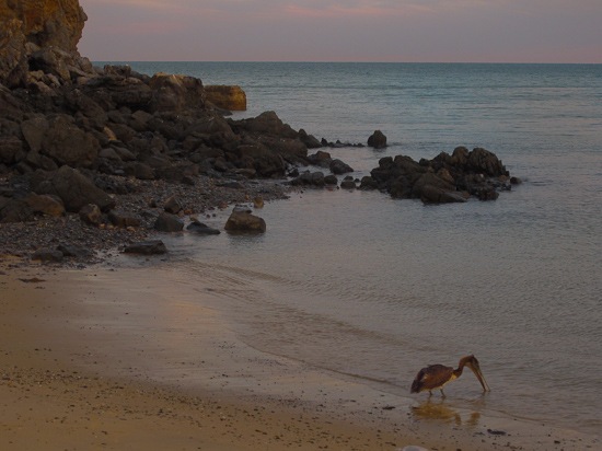 San Felipe Malecon Area (3)