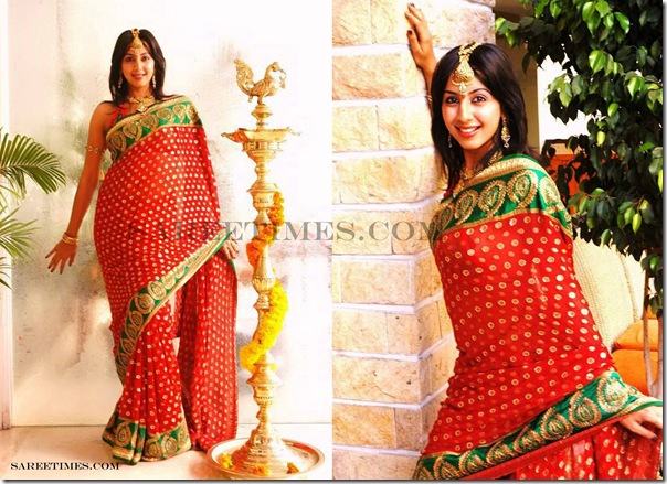 Sanjana_Traditional_Saree (1)