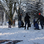 Bevers_in_de_sneeuw_2012_007.jpg