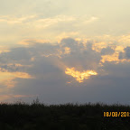 IMG_8079.JPG