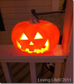 IMG_1985 IMG_1985