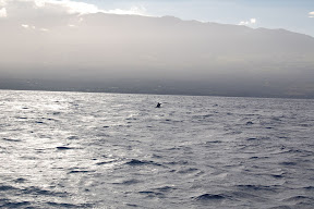 DSC_0833.JPG