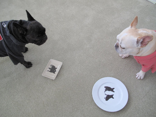 Where do you think these dishes came from?  I don't see a note, or anything!