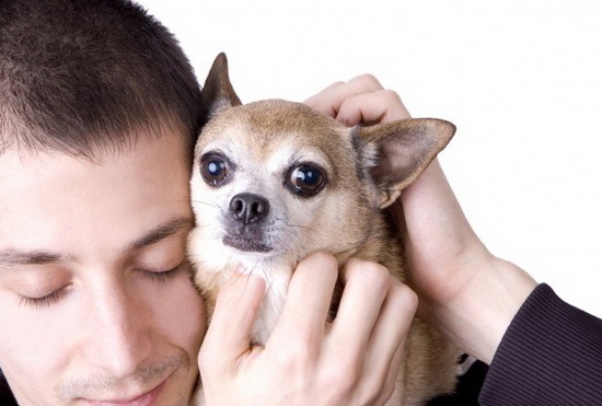 animals-and-humans_18