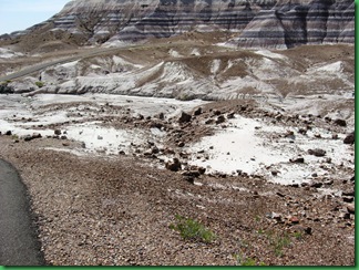 Painted Desert & Petrified Forest 218