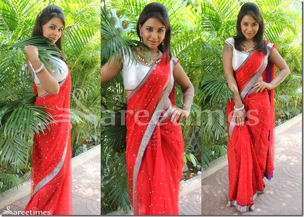 Sri_Red_Red_Embroidery_Saree