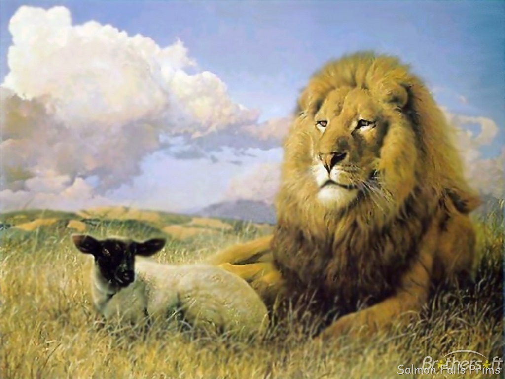 [lion-and-the-lamb1.jpg]