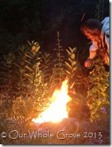 reading the fire reading the fire