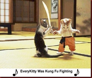 kittykungfu