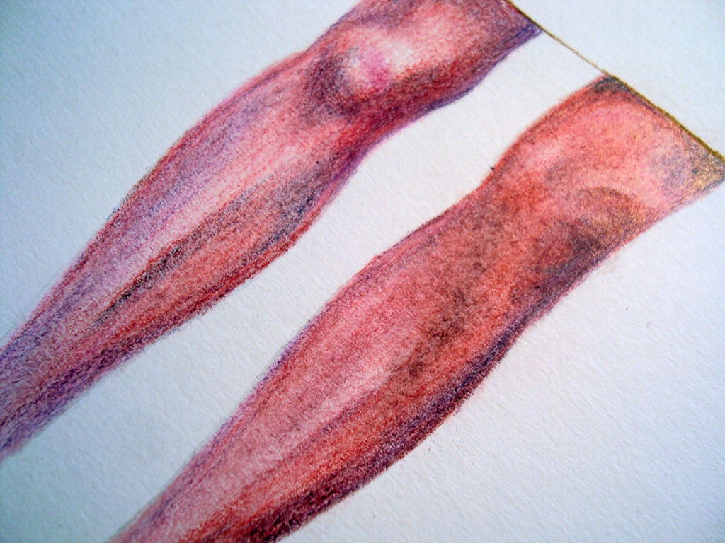 [CoolLegs4%255B7%255D.jpg]