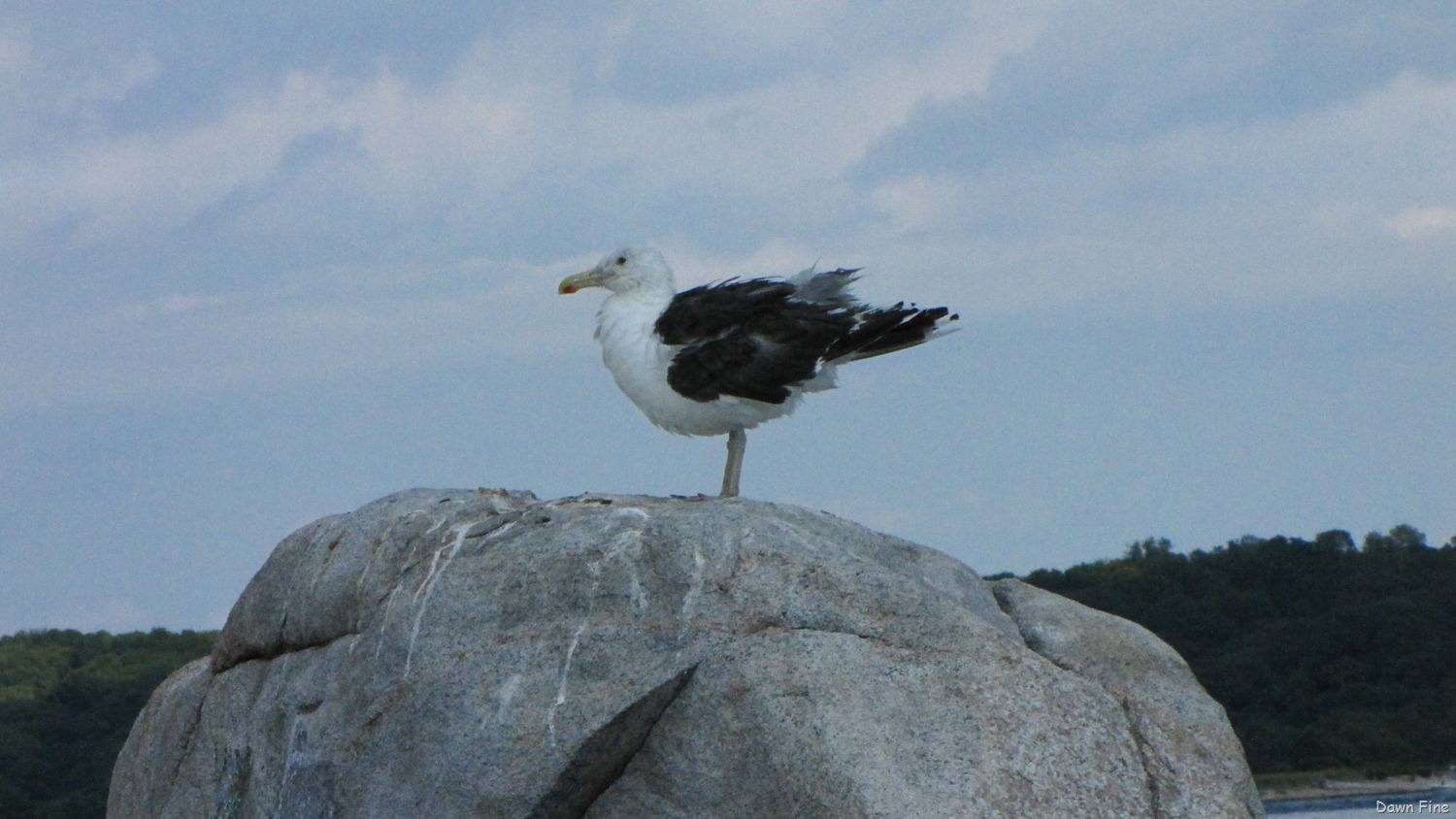 [Bluff%2520Point_009%255B3%255D.jpg]