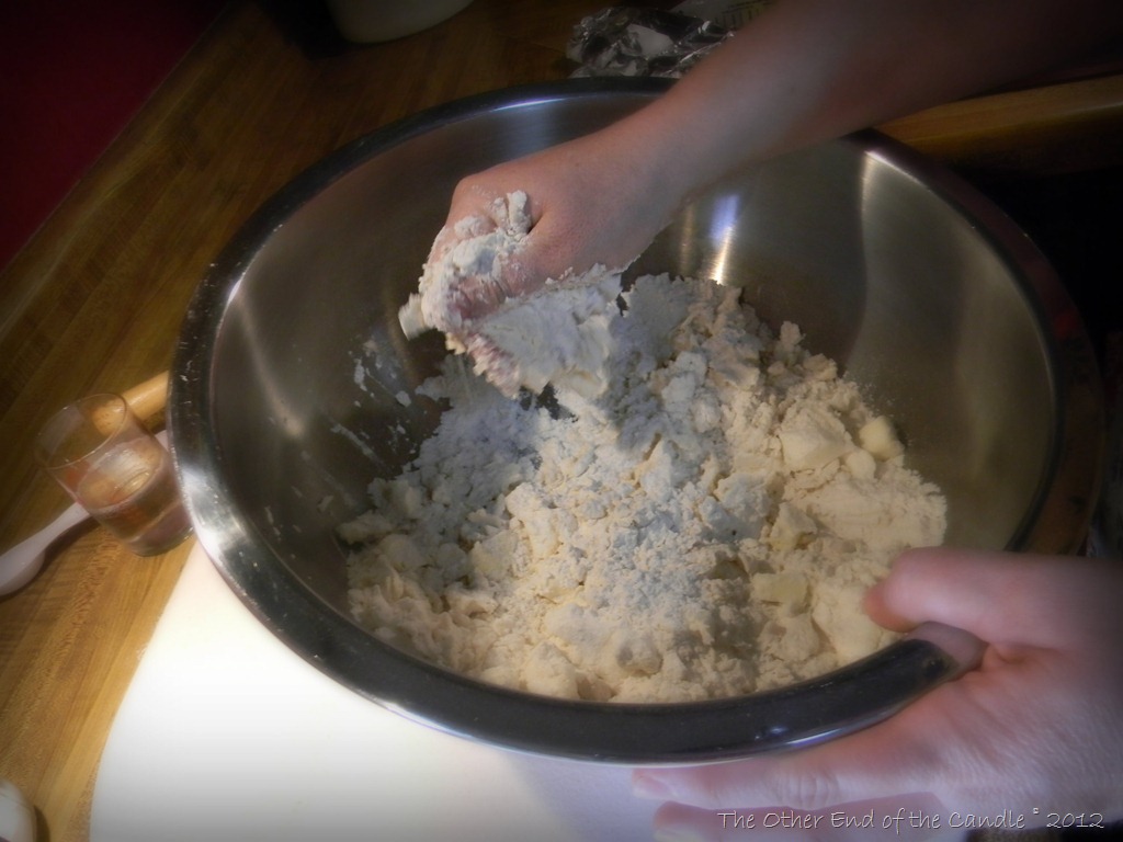 [Work-Shortning-into-Flour--Salt2.jpg]