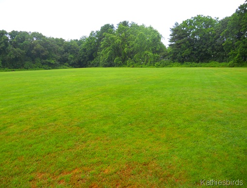 1. Sacred Heart Park-kab 1. Sacred Heart Park-kab