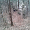 2013-03-31 14.12.10.jpg