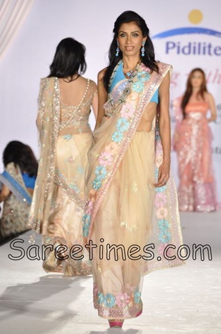 [Cream_Designer_Sari%255B3%255D.jpg]
