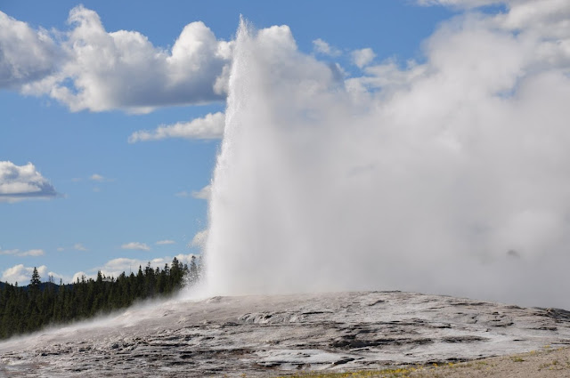 DSC_0905.JPG