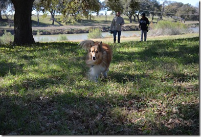 DSC_0005_006 DSC_0005_006