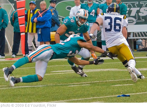 'Jets-Dolphin game, Nov 2009 - 123' photo (c) 2009, Ed Yourdon - license: http://creativecommons.org/licenses/by-sa/2.0/