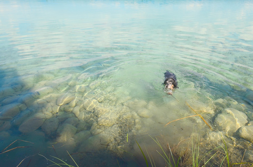 [Cassiar-N--Day-8_10204.jpg]