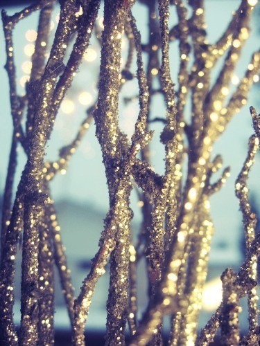 [sparkly%2520branches%2520via%2520pinterest%255B1%255D.jpg]