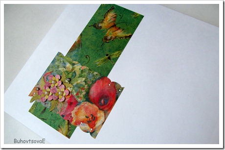 IMG_3050 IMG_3050