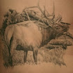 Elk #4