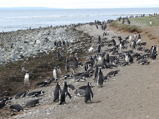 [IMG_2345%255B4%255D.jpg]