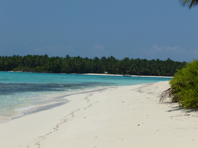 [P10101052.jpg]
