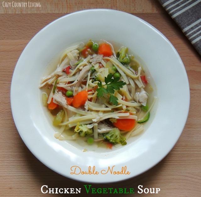 [Double-Noodle-Chicken-Vegetable-Soup%255B2%255D.jpg]