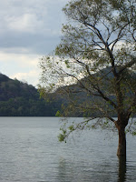 DSC05370.JPG