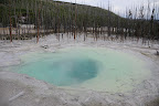 DSC_2314.JPG