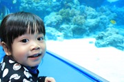 IMG_6560 IMG_6560