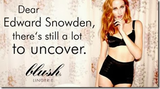 snowden-lingeire-ad-590x325 snowden-lingeire-ad-590x325