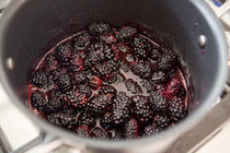 blackberry-slump-1.jpg