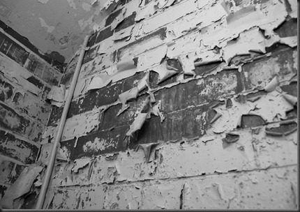 _DSC3694 BW _DSC3694 BW