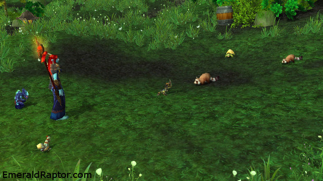 Pet battle