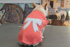 It features a pretty ruffled sleeve and a bow design on the back and I really love the pleasant coral color.