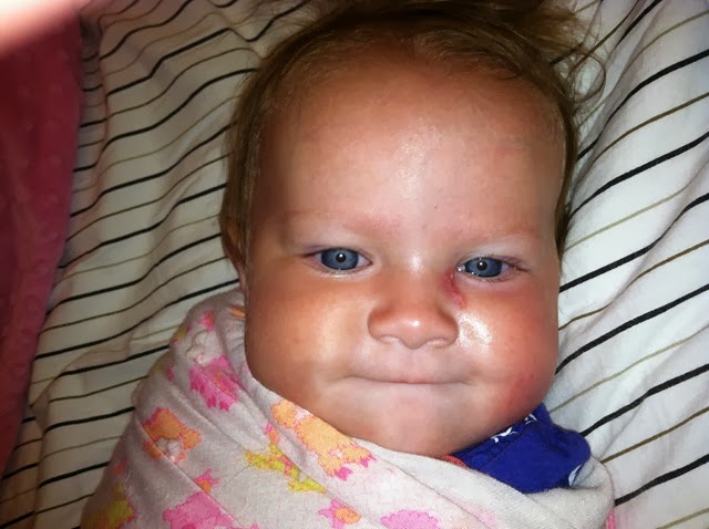 [phone%2520pictures%2520365%255B4%255D.jpg]