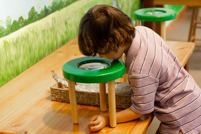 [ChildrensRoom4%2520%25281%2520of%25201%2529%255B4%255D.jpg]
