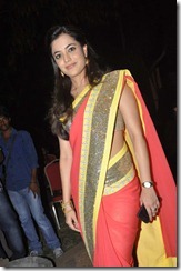 nisha_agarwal_beautiful_in_saree_photo