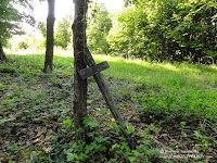 Cmentarz przy ul. Samotnej w Poznaniu