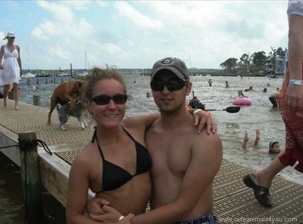 [50_Funniest_Animal_Photobombs_Of_All_Time_25%255B6%255D.jpg]