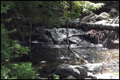 Kayaking Seal Cove Pond 151