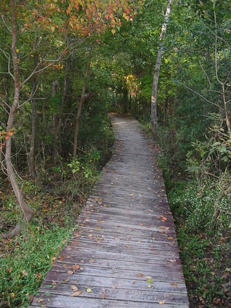 [Bridge9-M%255B2%255D.jpg]