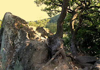 Norman Liebold: Der Stenzelberg.
