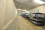 Below Ground Cheese Cave in Dorset